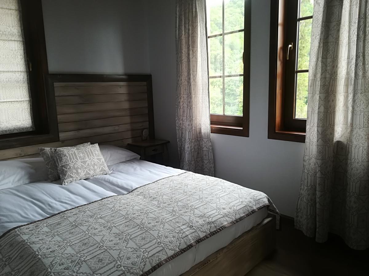 ホテル Manoleva House メルニック エクステリア 写真